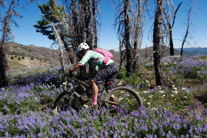 Fitting Training Into a Busy Life - SHREDLY
