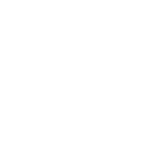 SHREDLY Logo Badge 